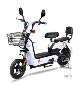 Electric scooter adult